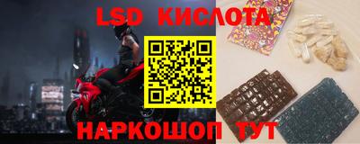 шишки Абакан