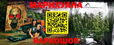 шишки Абакан