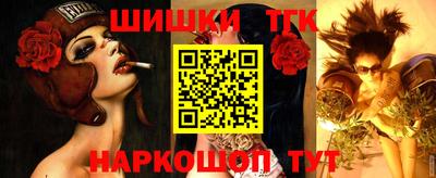 шишки Абакан