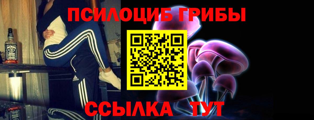 Галлюциногенные грибы Psilocybe Артёмовский